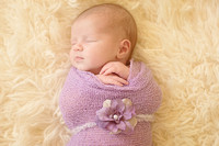 Fresh Baby! | Eileen Earnest Photography | Harford County Newborn & Child Photographer