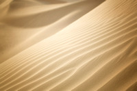 Liwa Desert, UAE
